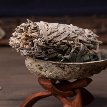 Close-up of dried white sage bundle resting in abalone shell on wooden stand for energy cleansing ritual