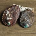 Pair of natural abalone shells with iridescent accents resting on a wooden surface and white woven cloth background