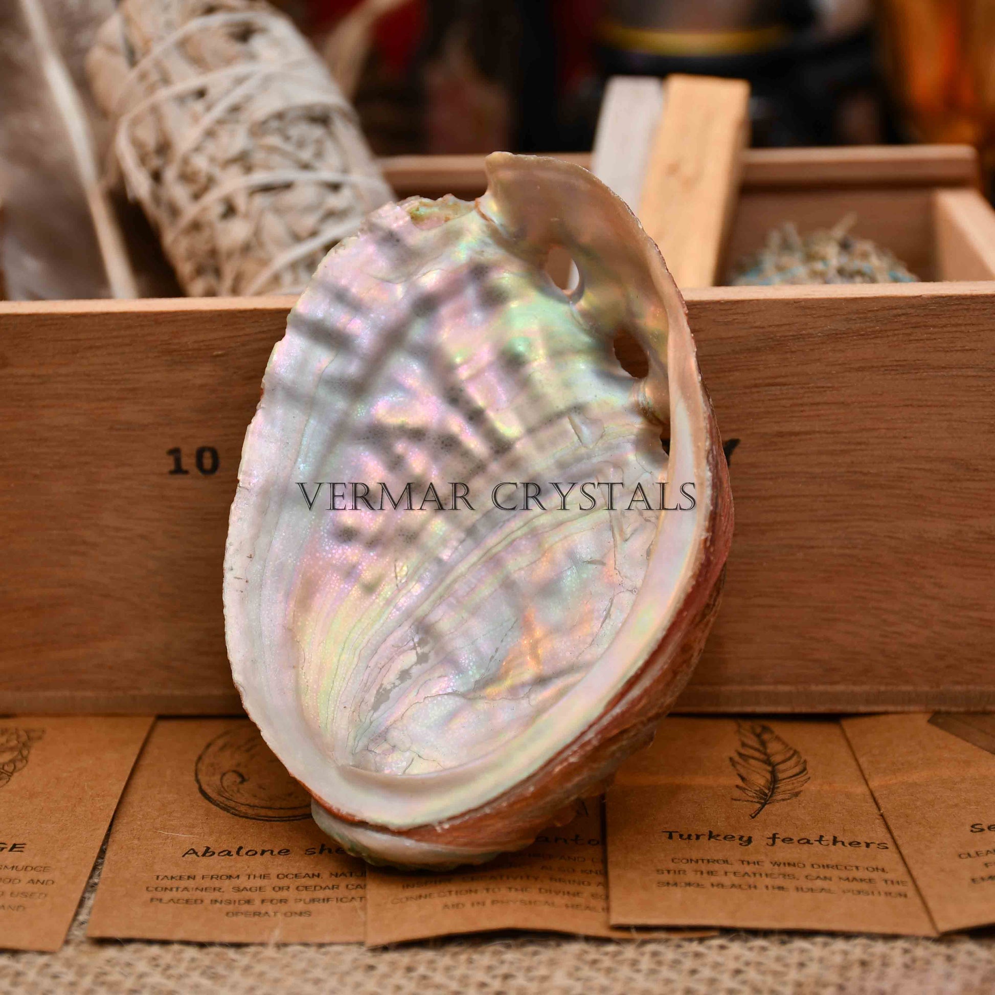 Iridescent abalone shell with natural color variations resting on a wooden surface with smudging kit items behind