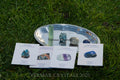 Set of natural Apatite, Labradorite, Fluorite, and Lapis Lazuli crystal stones displayed on a silver tray on grass background