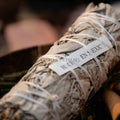 Close-up of premium white sage smudge stick tightly bundled with natural twine on blurred background