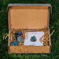 Set of polished blue and green crystals with info card in a brown cardboard box on grass background