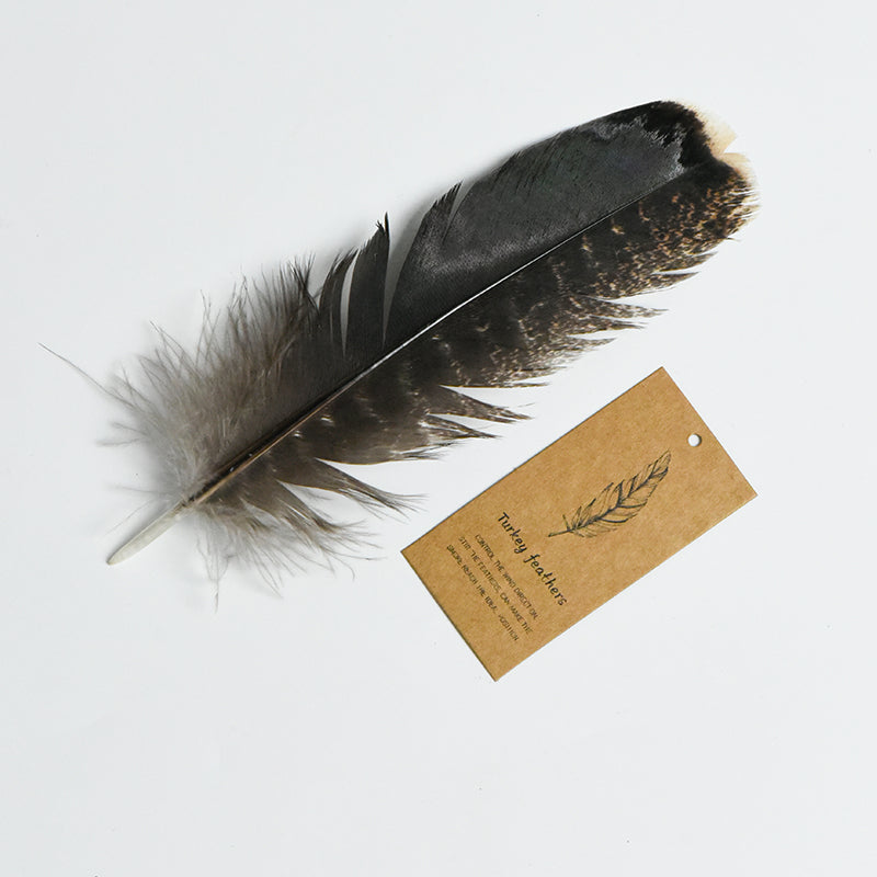 Natural turkey feather smudge fan with black and brown markings displayed on white background with product tag