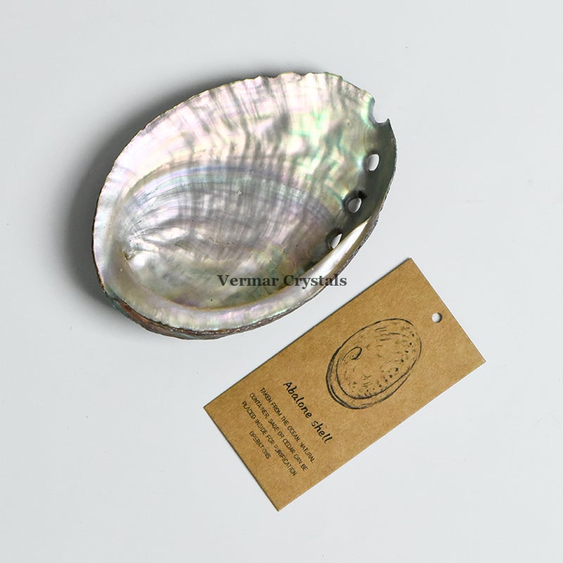 Natural iridescent Abalone Shell with unique patterns displayed on a white background with a product description tag