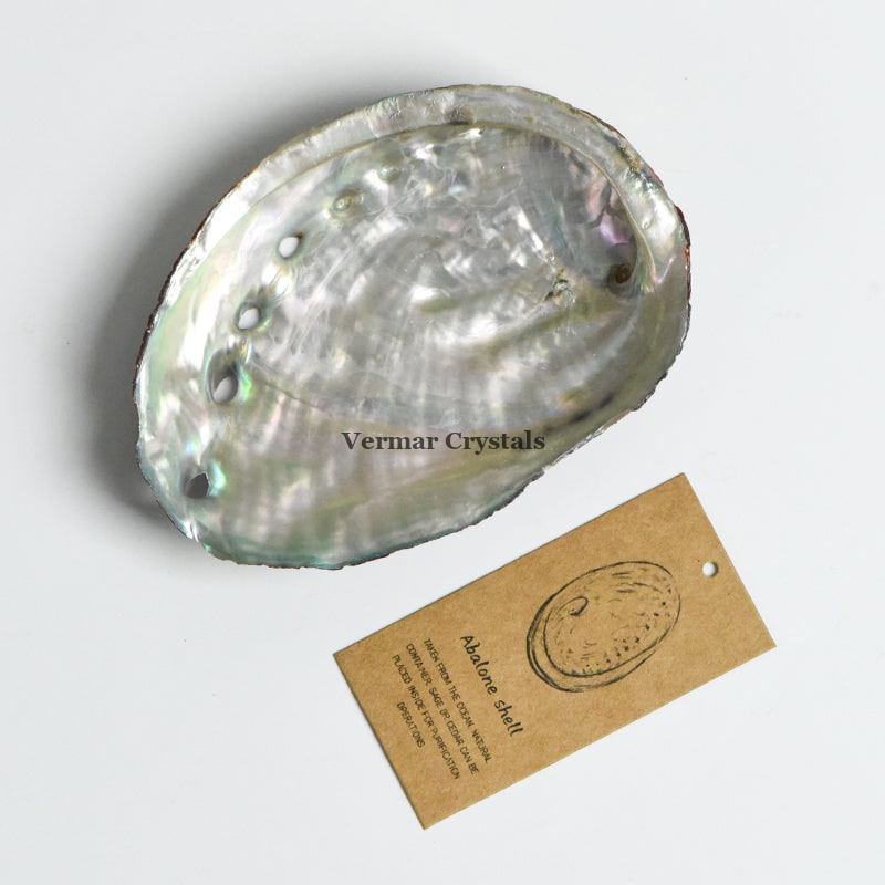 Natural iridescent Abalone Shell with unique patterns displayed on a white background with a product description tag